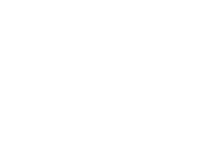 Logo for Meissner Bolte