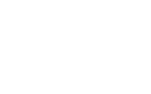 White version of the Sanatrelli Group logo