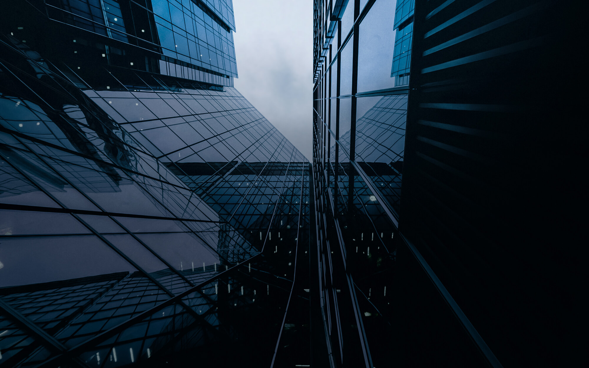 Why Work With Us EPLN